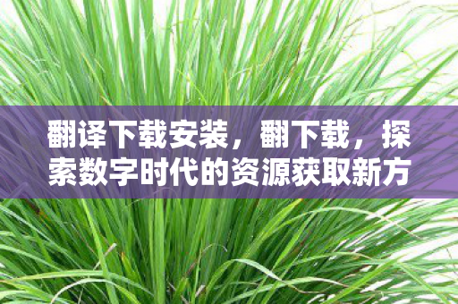 翻译下载安装,翻下载,探索数字时代的资源获取新方式 翻译下载安装,翻下载,探索数字时代的资源获取新方式