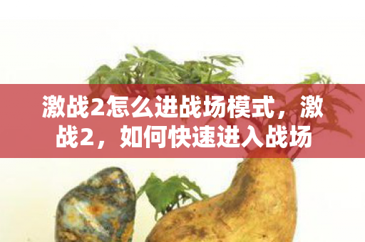 激战2怎么进战场模式，激战2，如何快速进入战场