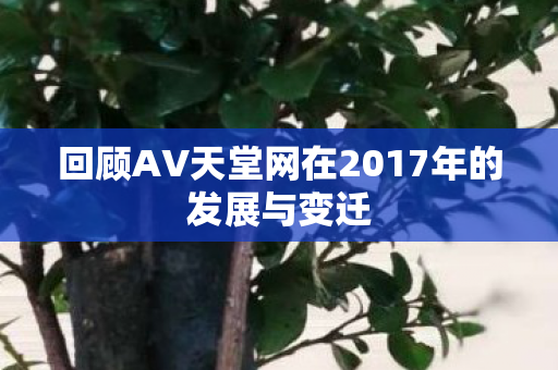 回顾AV天堂网在2017年的发展与变迁 回顾AV天堂网在2017年的发展与变迁