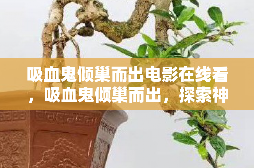 吸血鬼倾巢而出电影在线看,吸血鬼倾巢而出,探索神秘世界的奇幻之旅 吸血鬼倾巢而出电影在线看,吸血鬼倾巢而出,探索神秘世界的奇幻之旅