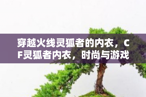 穿越火线灵狐者的内衣,CF灵狐者内衣,时尚与游戏的完美结合 穿越火线灵狐者的内衣,CF灵狐者内衣,时尚与游戏的完美结合