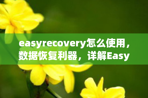 easyrecovery怎么使用,数据恢复利器,详解EasyRecovery的实用技巧 easyrecovery怎么使用,数据恢复利器,详解EasyRecovery的实用技巧