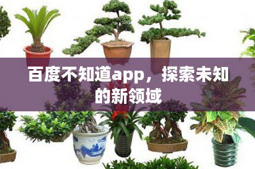 百度不知道app,探索未知的新领域 百度不知道app,探索未知的新领域