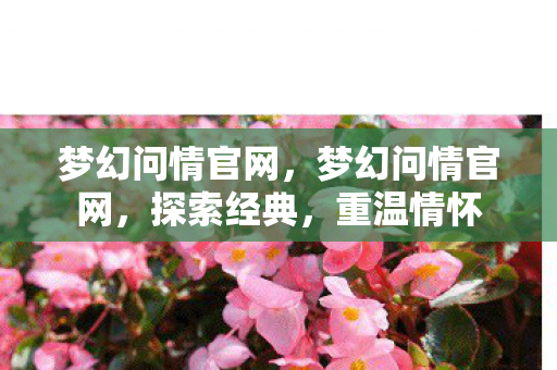 梦幻问情官网,梦幻问情官网,探索经典,重温情怀 梦幻问情官网,梦幻问情官网,探索经典,重温情怀