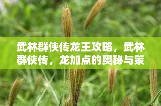 武林群侠传龙王攻略,武林群侠传,龙加点的奥秘与策略 武林群侠传龙王攻略,武林群侠传,龙加点的奥秘与策略