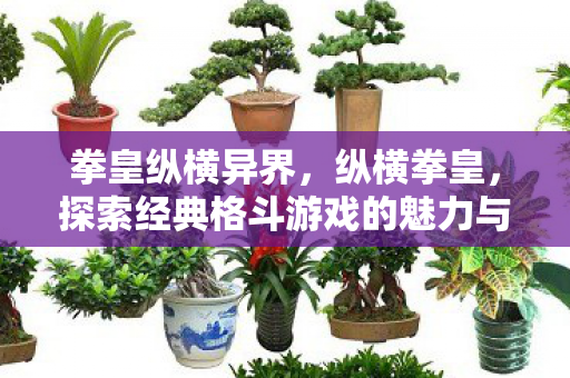 拳皇纵横异界,纵横拳皇,探索经典格斗游戏的魅力与传承 拳皇纵横异界,纵横拳皇,探索经典格斗游戏的魅力与传承