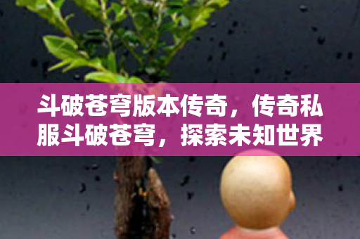 斗破苍穹版本传奇，传奇私服斗破苍穹，探索未知世界的奇幻之旅