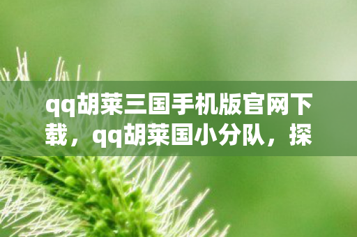 qq胡莱三国手机版官网下载，qq胡莱国小分队，探索游戏世界的奇妙之旅