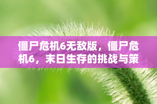 僵尸危机6无敌版，僵尸危机6，末日生存的挑战与策略