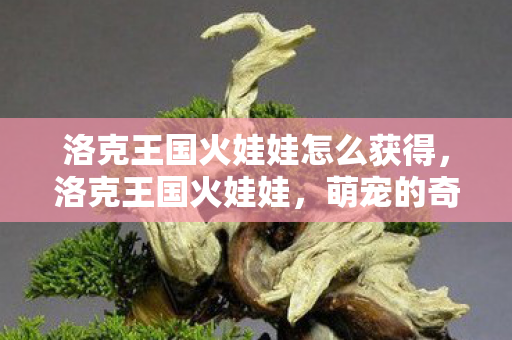 洛克王国火娃娃怎么获得,洛克王国火娃娃,萌宠的奇幻之旅 洛克王国火娃娃怎么获得,洛克王国火娃娃,萌宠的奇幻之旅