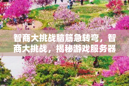 智商大挑战脑筋急转弯,智商大挑战,揭秘游戏服务器优化与性能提升的奥秘 智商大挑战脑筋急转弯,智商大挑战,揭秘游戏服务器优化与性能提升的奥秘