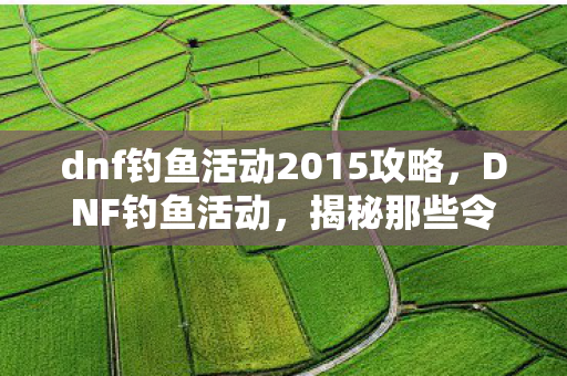 dnf钓鱼活动2015攻略,DNF钓鱼活动,揭秘那些令人头疼的BUG dnf钓鱼活动2015攻略,DNF钓鱼活动,揭秘那些令人头疼的BUG