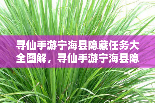 寻仙手游宁海县隐藏任务大全图解,寻仙手游宁海县隐藏任务揭秘,探索未知,解锁惊喜 寻仙手游宁海县隐藏任务大全图解,寻仙手游宁海县隐藏任务揭秘,探索未知,解锁惊喜