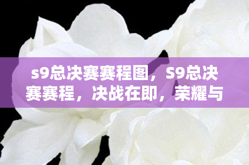 s9总决赛赛程图,S9总决赛赛程,决战在即,荣耀与梦想共舞 s9总决赛赛程图,S9总决赛赛程,决战在即,荣耀与梦想共舞