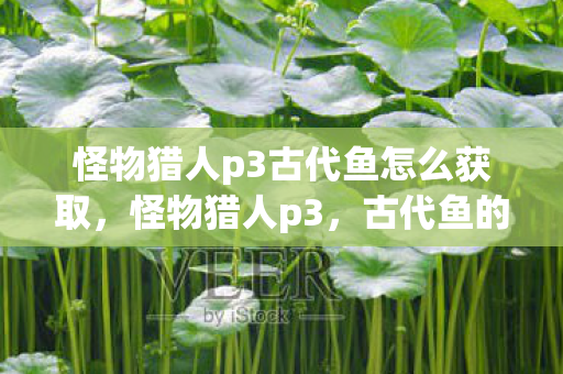怪物猎人p3古代鱼怎么获取,怪物猎人p3,古代鱼的神秘魅力 怪物猎人p3古代鱼怎么获取,怪物猎人p3,古代鱼的神秘魅力