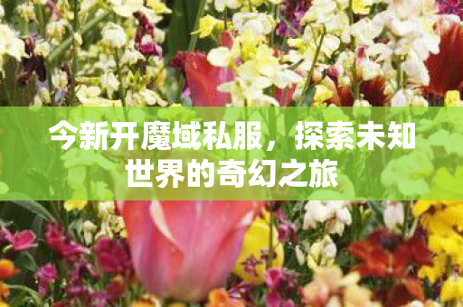 今新开魔域私服,探索未知世界的奇幻之旅 今新开魔域私服,探索未知世界的奇幻之旅