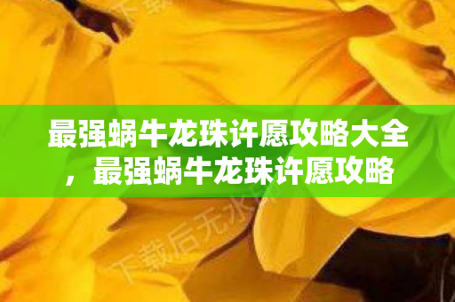 最强蜗牛龙珠许愿攻略大全,最强蜗牛龙珠许愿攻略 最强蜗牛龙珠许愿攻略大全,最强蜗牛龙珠许愿攻略