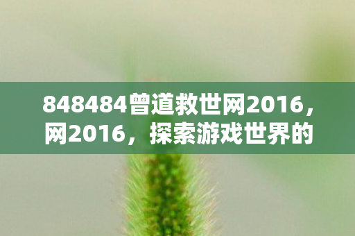 848484曾道救世网2016,网2016,探索游戏世界的无限可能 848484曾道救世网2016,网2016,探索游戏世界的无限可能