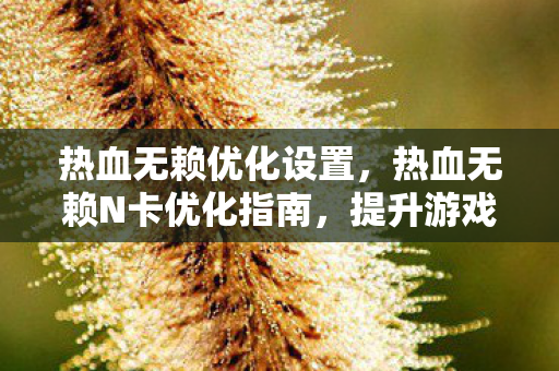 热血无赖优化设置,热血无赖N卡优化指南,提升游戏流畅度的关键步骤 热血无赖优化设置,热血无赖N卡优化指南,提升游戏流畅度的关键步骤