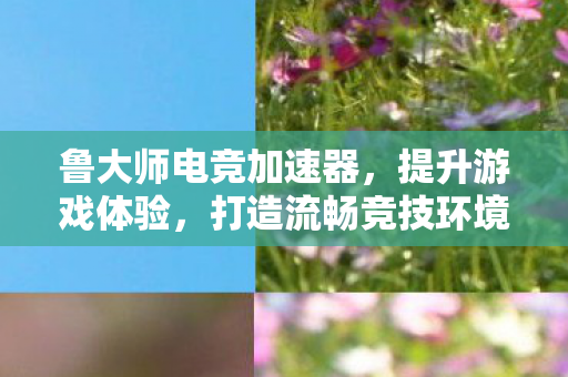鲁大师电竞加速器,提升游戏体验,打造流畅竞技环境 鲁大师电竞加速器,提升游戏体验,打造流畅竞技环境