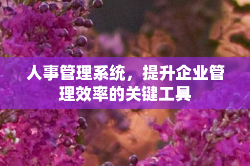 人事管理系统,提升企业管理效率的关键工具 人事管理系统,提升企业管理效率的关键工具