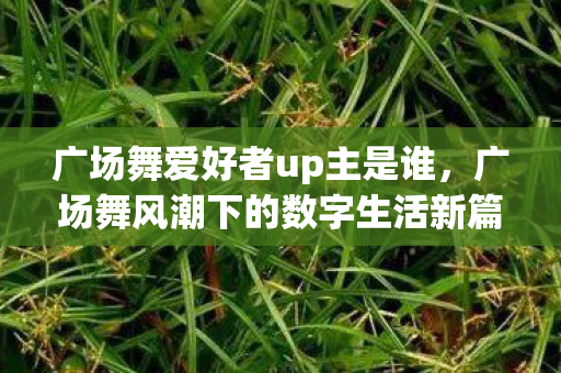 广场舞爱好者up主是谁，广场舞风潮下的数字生活新篇章
