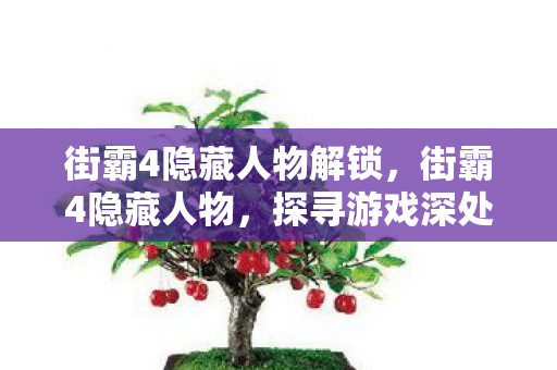 街霸4隐藏人物解锁,街霸4隐藏人物,探寻游戏深处的神秘力量 街霸4隐藏人物解锁,街霸4隐藏人物,探寻游戏深处的神秘力量