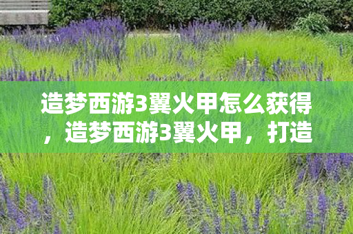 造梦西游3翼火甲怎么获得，造梦西游3翼火甲，打造属于你的神话世界