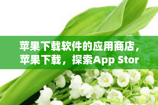 苹果下载软件的应用商店，苹果下载，探索App Store的无限可能