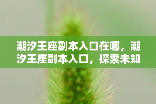 潮汐王座副本入口在哪,潮汐王座副本入口,探索未知世界的神秘之旅 潮汐王座副本入口在哪,潮汐王座副本入口,探索未知世界的神秘之旅