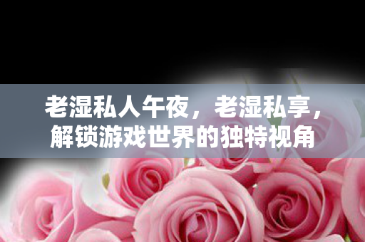 老湿私人午夜，老湿私享，解锁游戏世界的独特视角