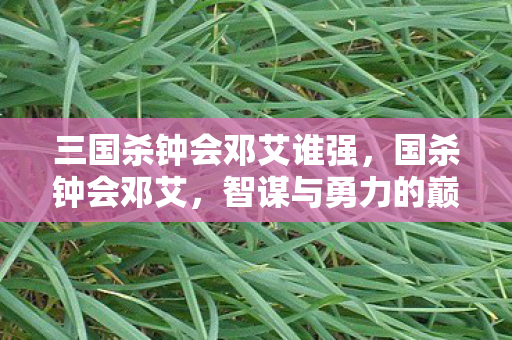 三国杀钟会邓艾谁强，国杀钟会邓艾，智谋与勇力的巅峰对决