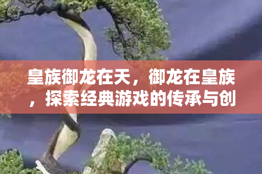 皇族御龙在天,御龙在皇族,探索经典游戏的传承与创新 皇族御龙在天,御龙在皇族,探索经典游戏的传承与创新