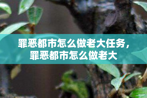 罪恶都市怎么做老大任务,罪恶都市怎么做老大 罪恶都市怎么做老大任务,罪恶都市怎么做老大