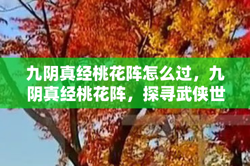 九阴真经桃花阵怎么过,九阴真经桃花阵,探寻武侠世界的神秘迷宫 九阴真经桃花阵怎么过,九阴真经桃花阵,探寻武侠世界的神秘迷宫