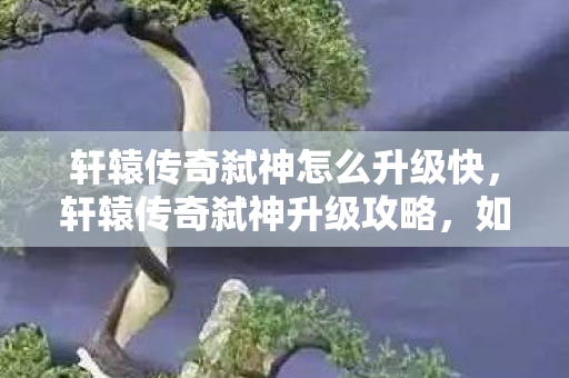 轩辕传奇弑神怎么升级快,轩辕传奇弑神升级攻略,如何快速提升等级 轩辕传奇弑神怎么升级快,轩辕传奇弑神升级攻略,如何快速提升等级
