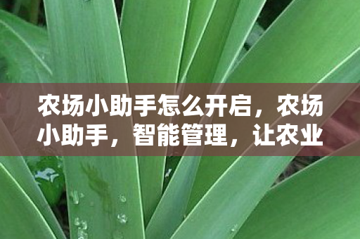 农场小助手怎么开启,农场小助手,智能管理,让农业更轻松 农场小助手怎么开启,农场小助手,智能管理,让农业更轻松