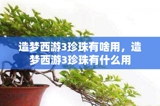 造梦西游3珍珠有啥用,造梦西游3珍珠有什么用 造梦西游3珍珠有啥用,造梦西游3珍珠有什么用
