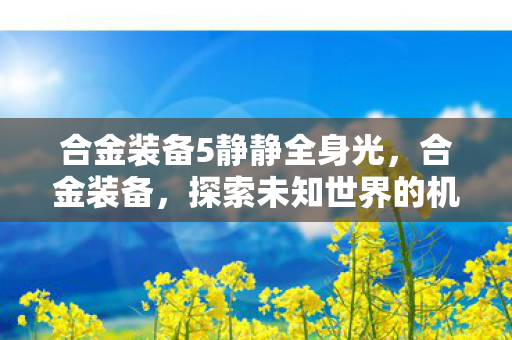 合金装备5静静全身光,合金装备,探索未知世界的机械美学 合金装备5静静全身光,合金装备,探索未知世界的机械美学