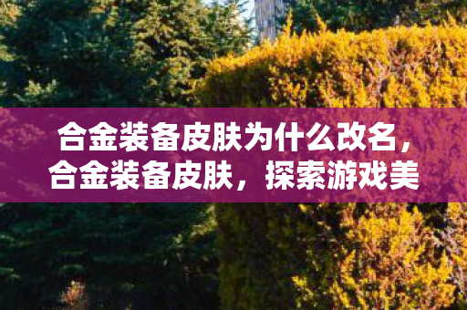 合金装备皮肤为什么改名,合金装备皮肤,探索游戏美学与玩家文化的交汇点 合金装备皮肤为什么改名,合金装备皮肤,探索游戏美学与玩家文化的交汇点