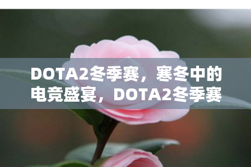 DOTA2冬季赛,寒冬中的电竞盛宴,DOTA2冬季赛的深度剖析 DOTA2冬季赛,寒冬中的电竞盛宴,DOTA2冬季赛的深度剖析
