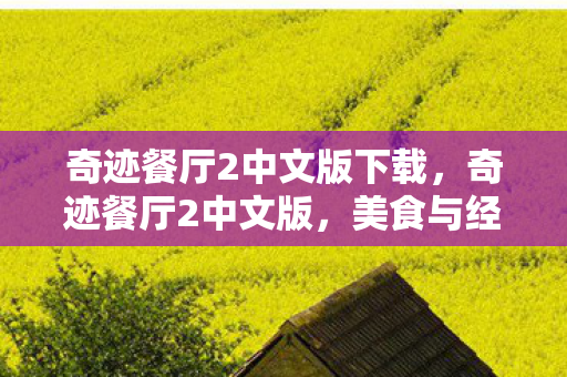 奇迹餐厅2中文版下载,奇迹餐厅2中文版,美食与经营的完美融合 奇迹餐厅2中文版下载,奇迹餐厅2中文版,美食与经营的完美融合