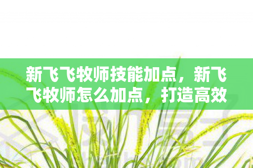 新飞飞牧师技能加点,新飞飞牧师怎么加点,打造高效治疗与辅助的加点策略 新飞飞牧师技能加点,新飞飞牧师怎么加点,打造高效治疗与辅助的加点策略