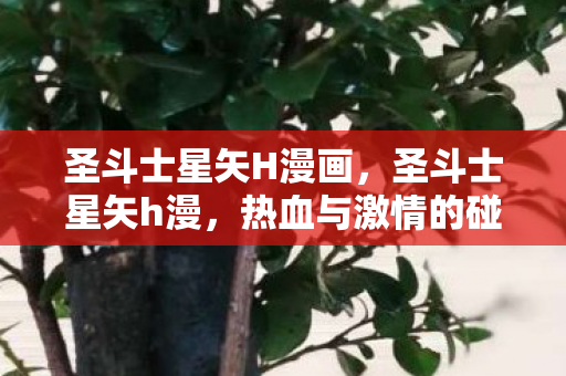 圣斗士星矢H漫画,圣斗士星矢h漫,热血与激情的碰撞 圣斗士星矢H漫画,圣斗士星矢h漫,热血与激情的碰撞