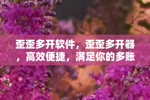 歪歪多开软件,歪歪多开器,高效便捷,满足你的多账号需求 歪歪多开软件,歪歪多开器,高效便捷,满足你的多账号需求