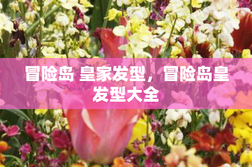 冒险岛 皇家发型,冒险岛皇发型大全 冒险岛 皇家发型,冒险岛皇发型大全