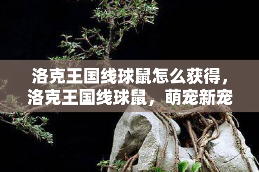 洛克王国线球鼠怎么获得,洛克王国线球鼠,萌宠新宠,策略与乐趣并存 洛克王国线球鼠怎么获得,洛克王国线球鼠,萌宠新宠,策略与乐趣并存