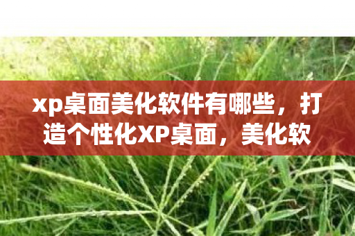 xp桌面美化软件有哪些,打造个性化XP桌面,美化软件精选与应用 xp桌面美化软件有哪些,打造个性化XP桌面,美化软件精选与应用