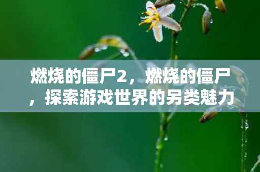 燃烧的僵尸2,燃烧的僵尸,探索游戏世界的另类魅力 燃烧的僵尸2,燃烧的僵尸,探索游戏世界的另类魅力