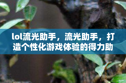 lol流光助手,流光助手,打造个性化游戏体验的得力助手 lol流光助手,流光助手,打造个性化游戏体验的得力助手
